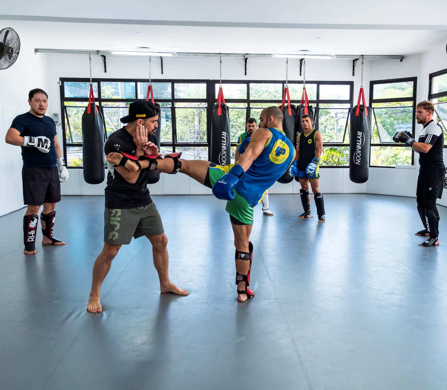 MMA dans l'antre brésilien